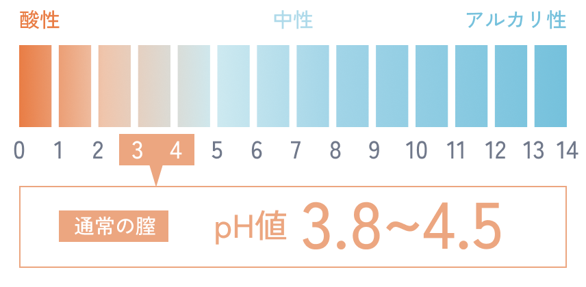 通常の膣 pH値 3.8~4.5